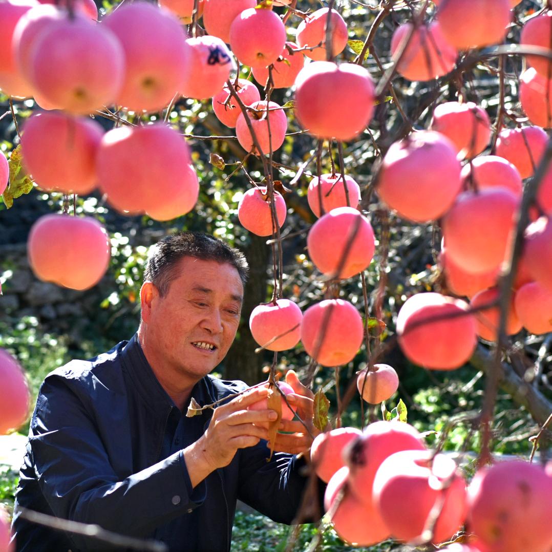 田书记·助农洋三峪