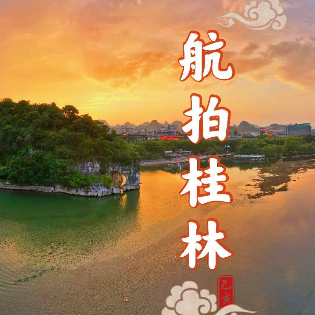 会飞的小迈