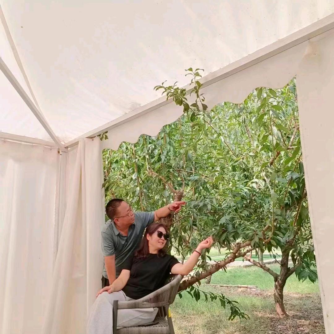 如梦初醒