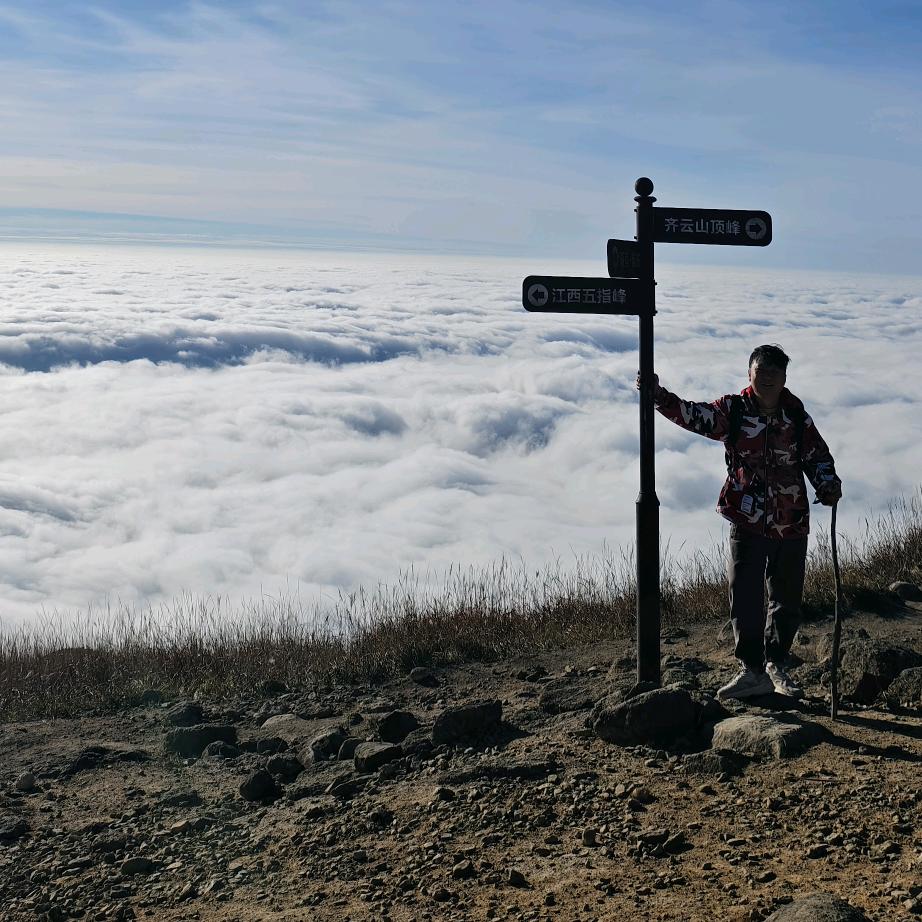 直来直往直达心灵