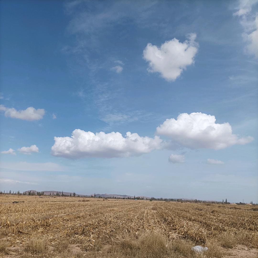 金元宝🚜新农人