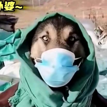吊儿郎当的懒皇