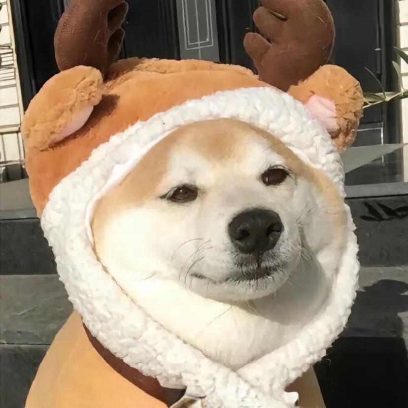 慢常