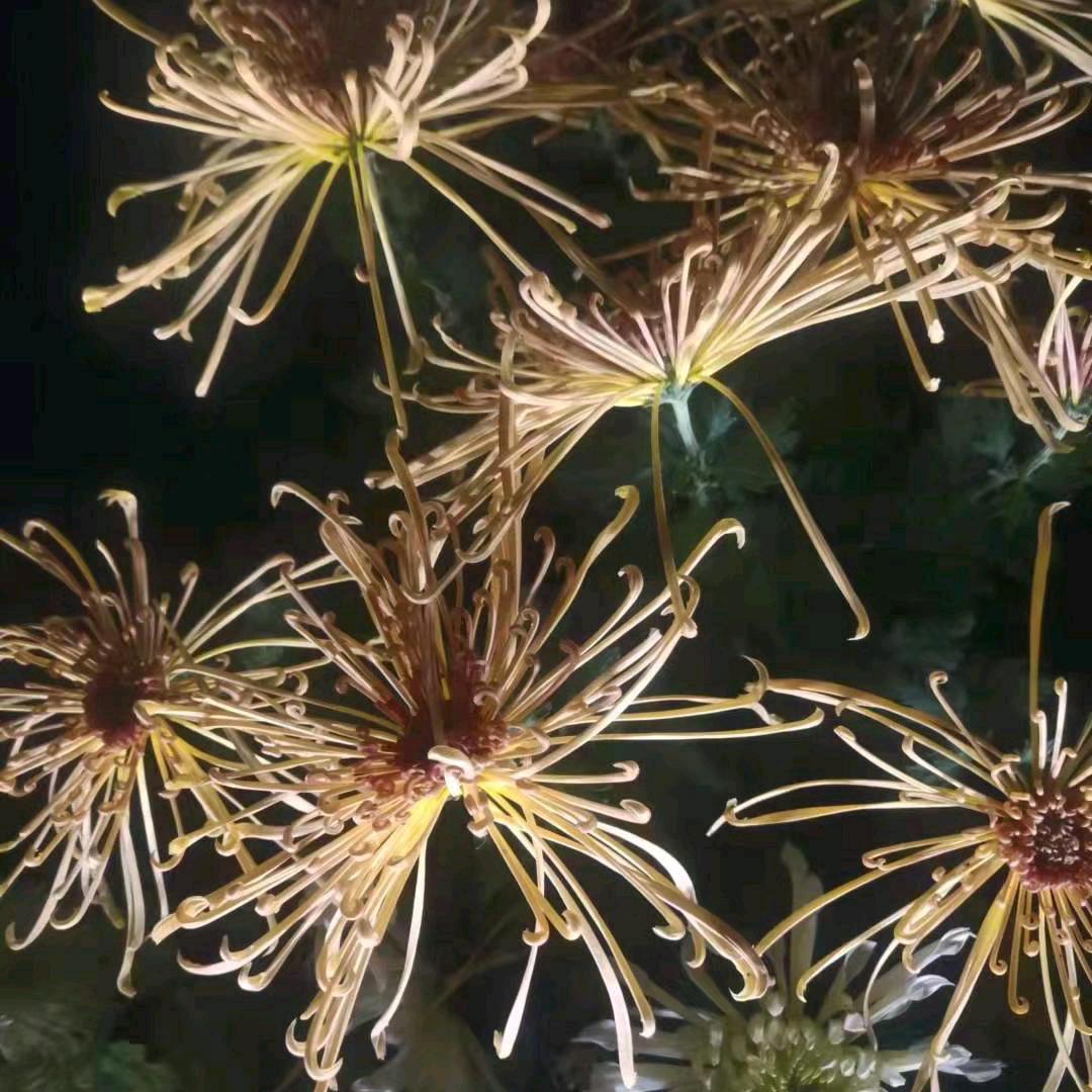 ♥(往）（后）（余）（生）♥