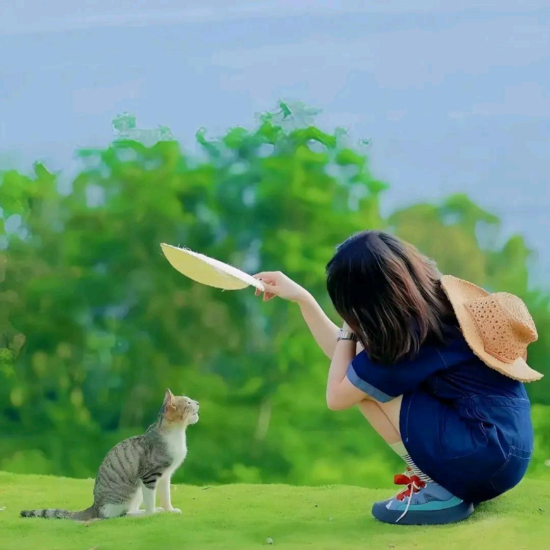 猫猫
