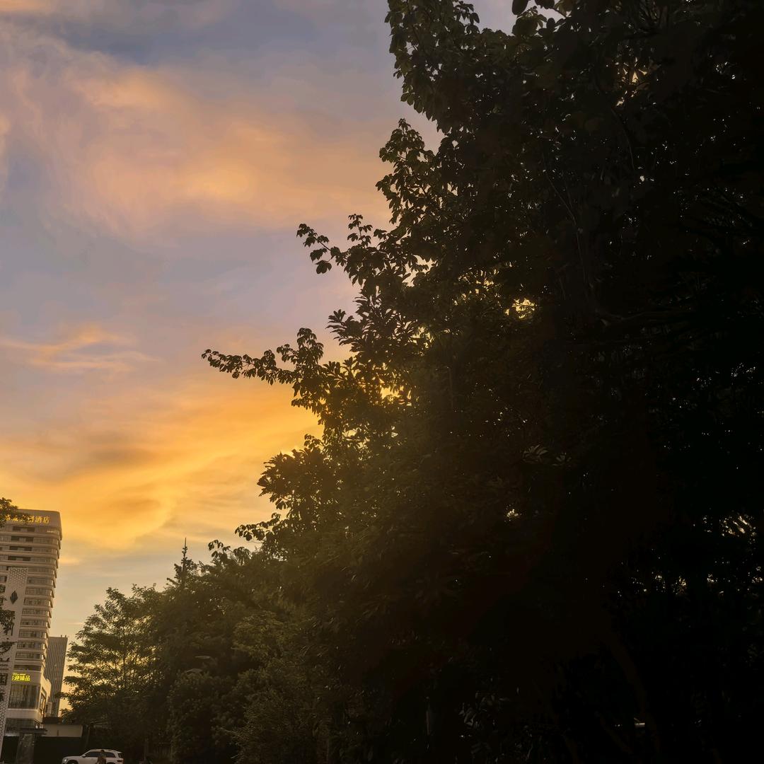 两只喵喵杂货铺