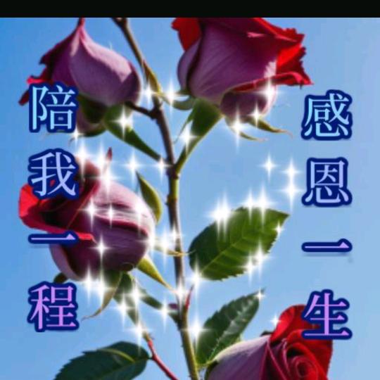 感恩遇见