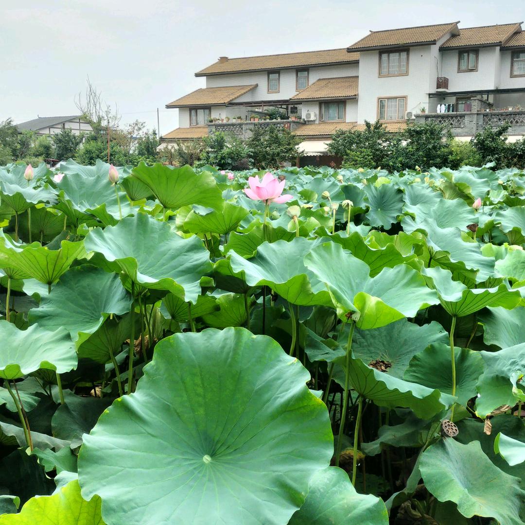 韩好🍀🍁有你🍁🌺