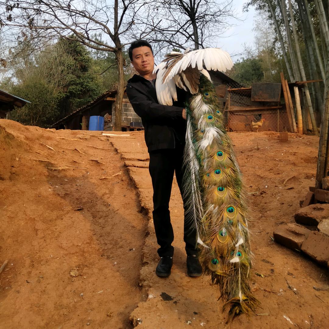 建湘珍禽养殖场
