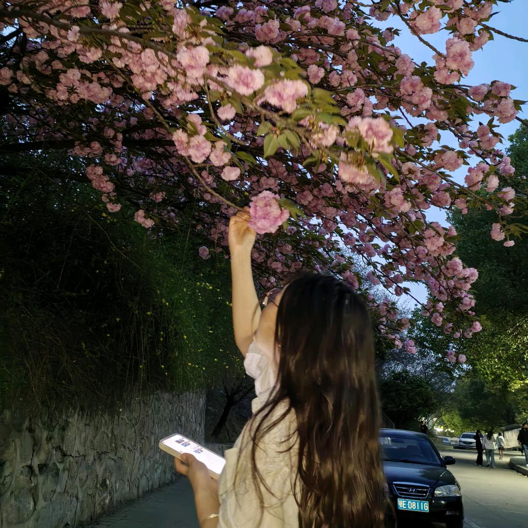小锅同学