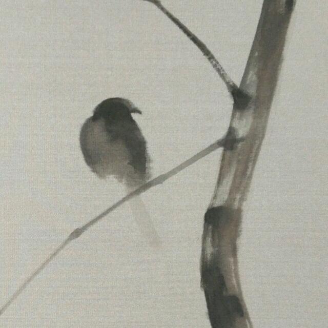 Oo吃瓜的群众oO