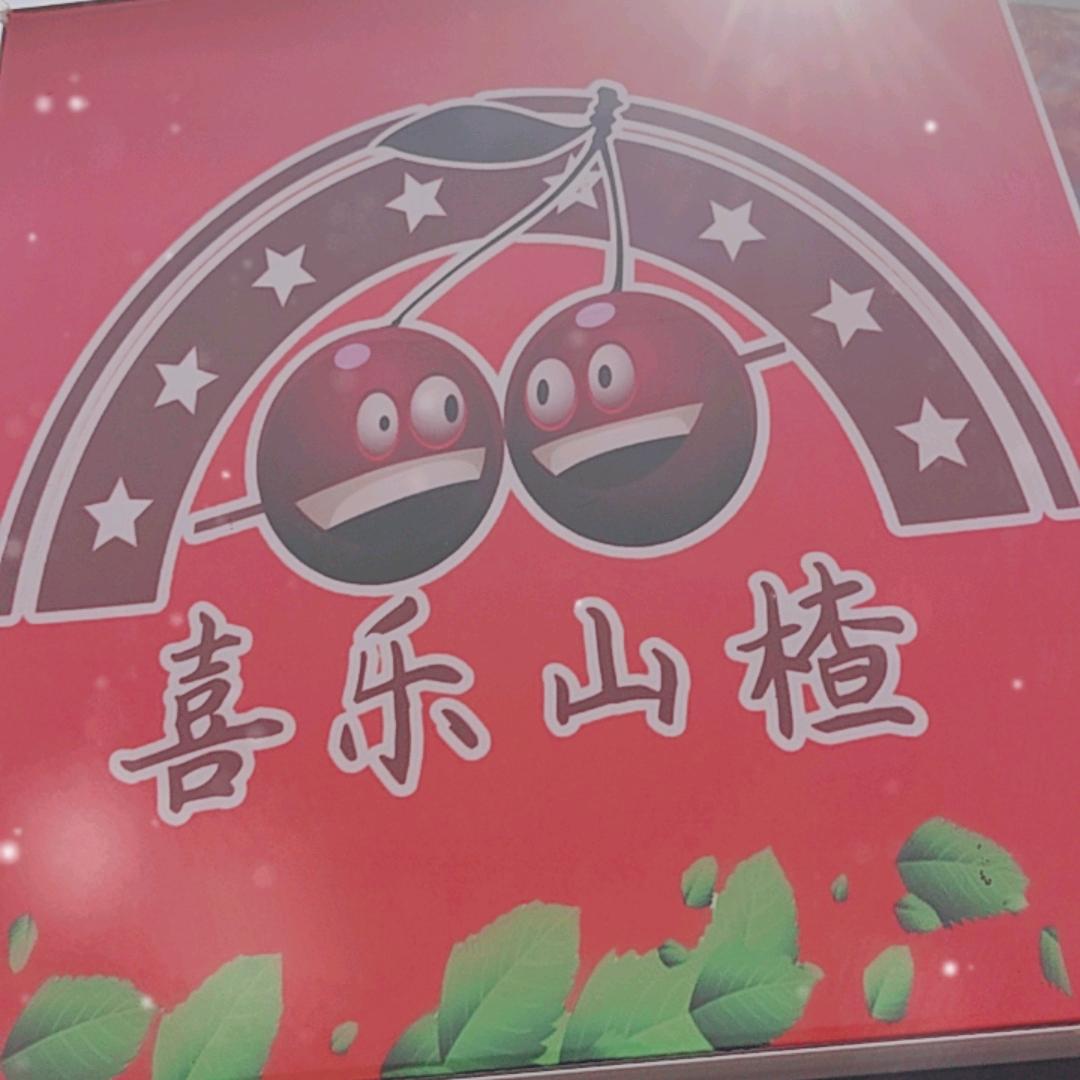 喜乐山楂◎冰糖葫芦 迷你小串