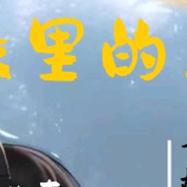 赵叉叉