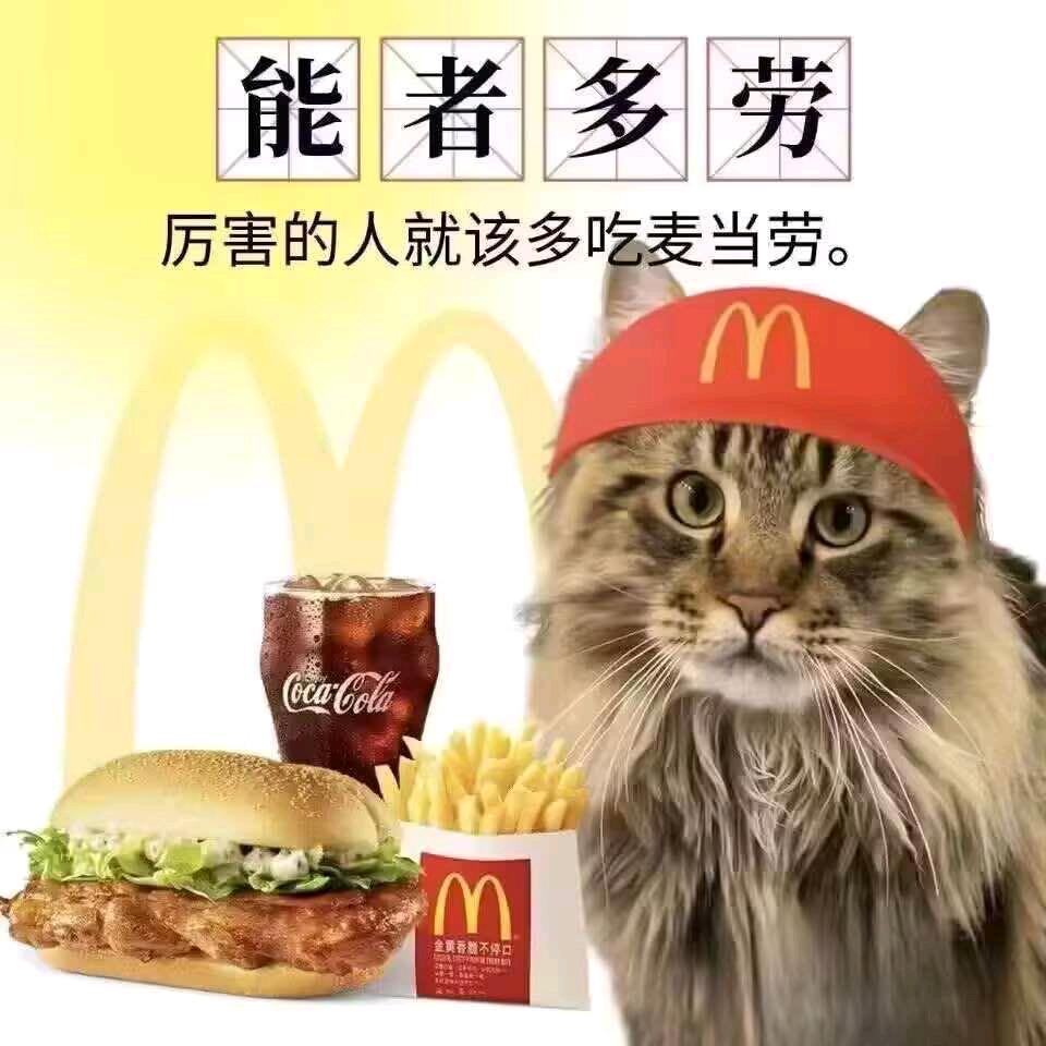 爱吃麦当劳的懒羊洋