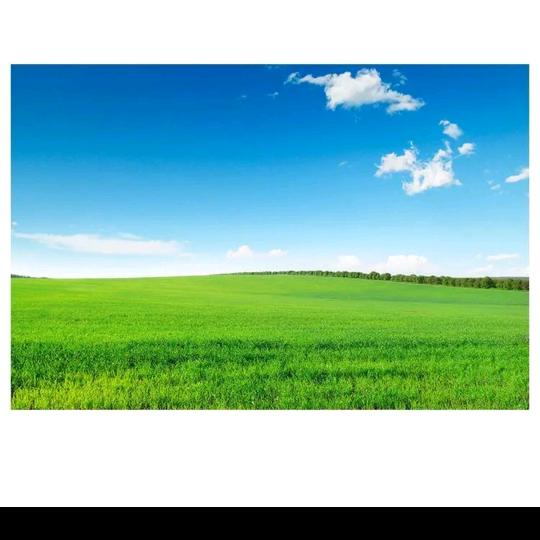 ℋღ᭄🍒蜡笔小新᭄💞࿐: ℋღ᭄