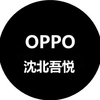 OPPO菲菲辽宁盛世基业科技有限公司