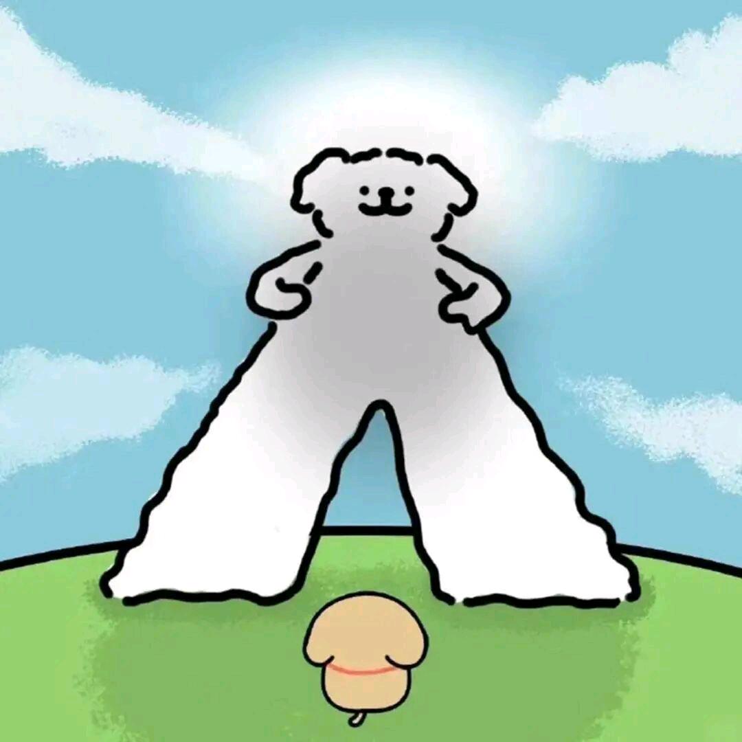 刀削面