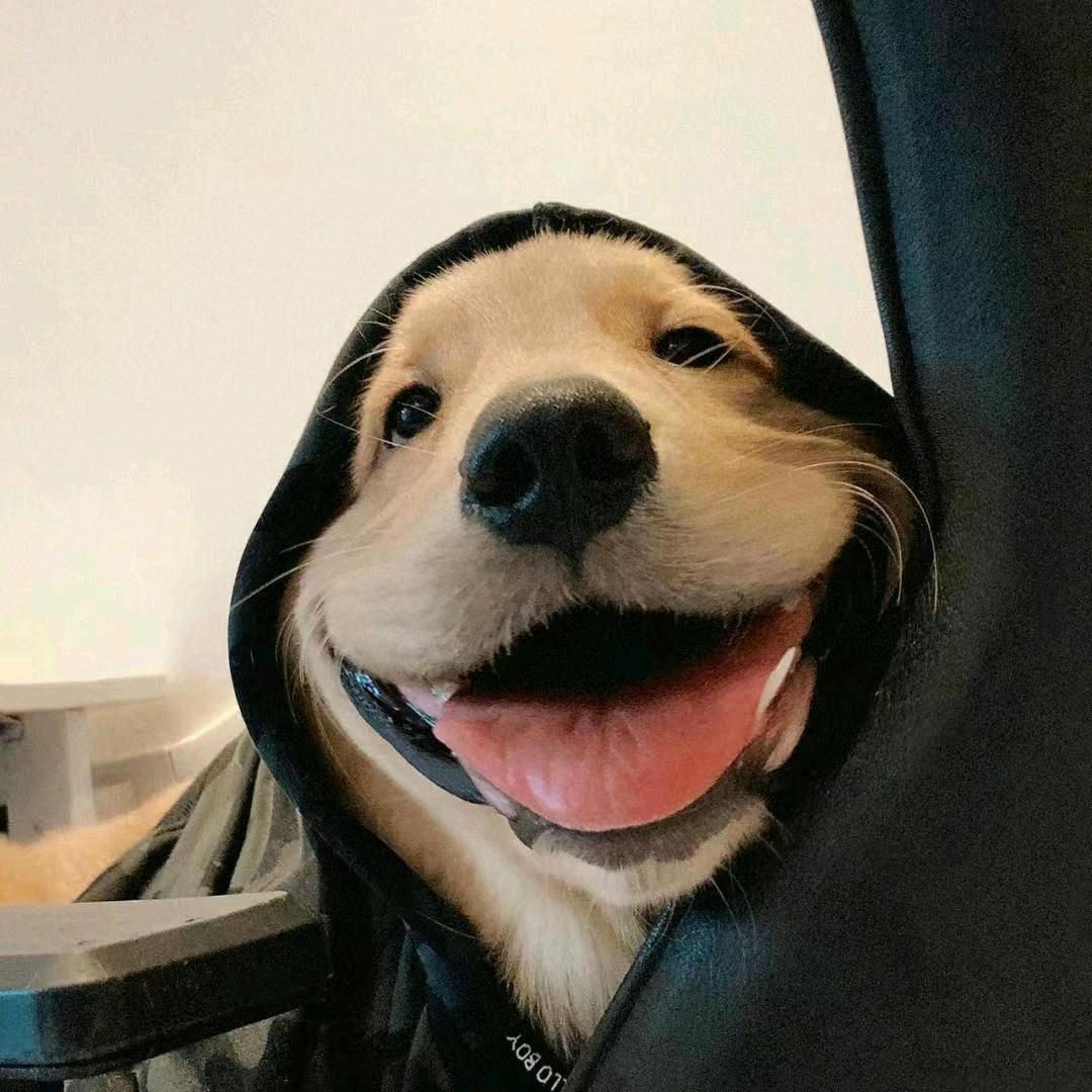 Auoo