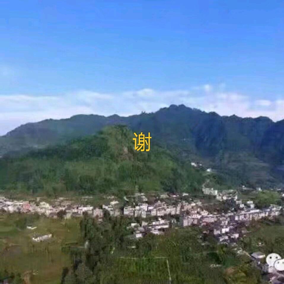 情義無價