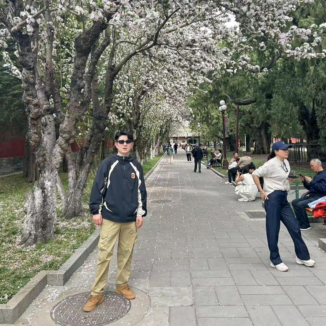 鹰城的男人