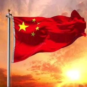 天天机械<>专注平地机