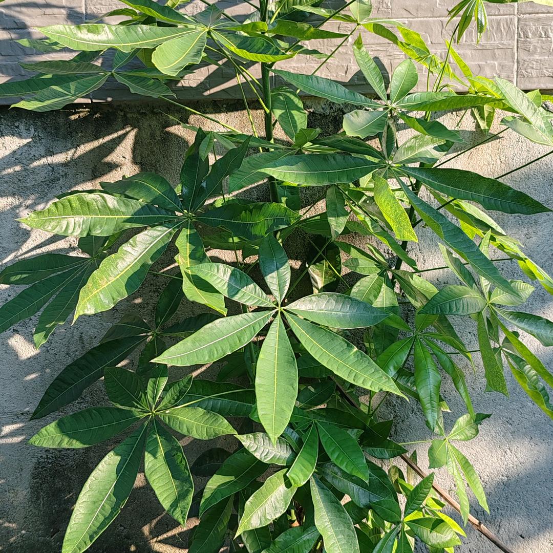 有缘人