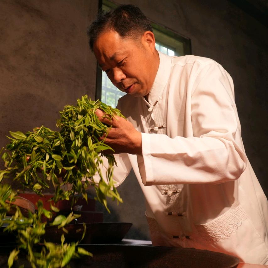 中国制茶大师