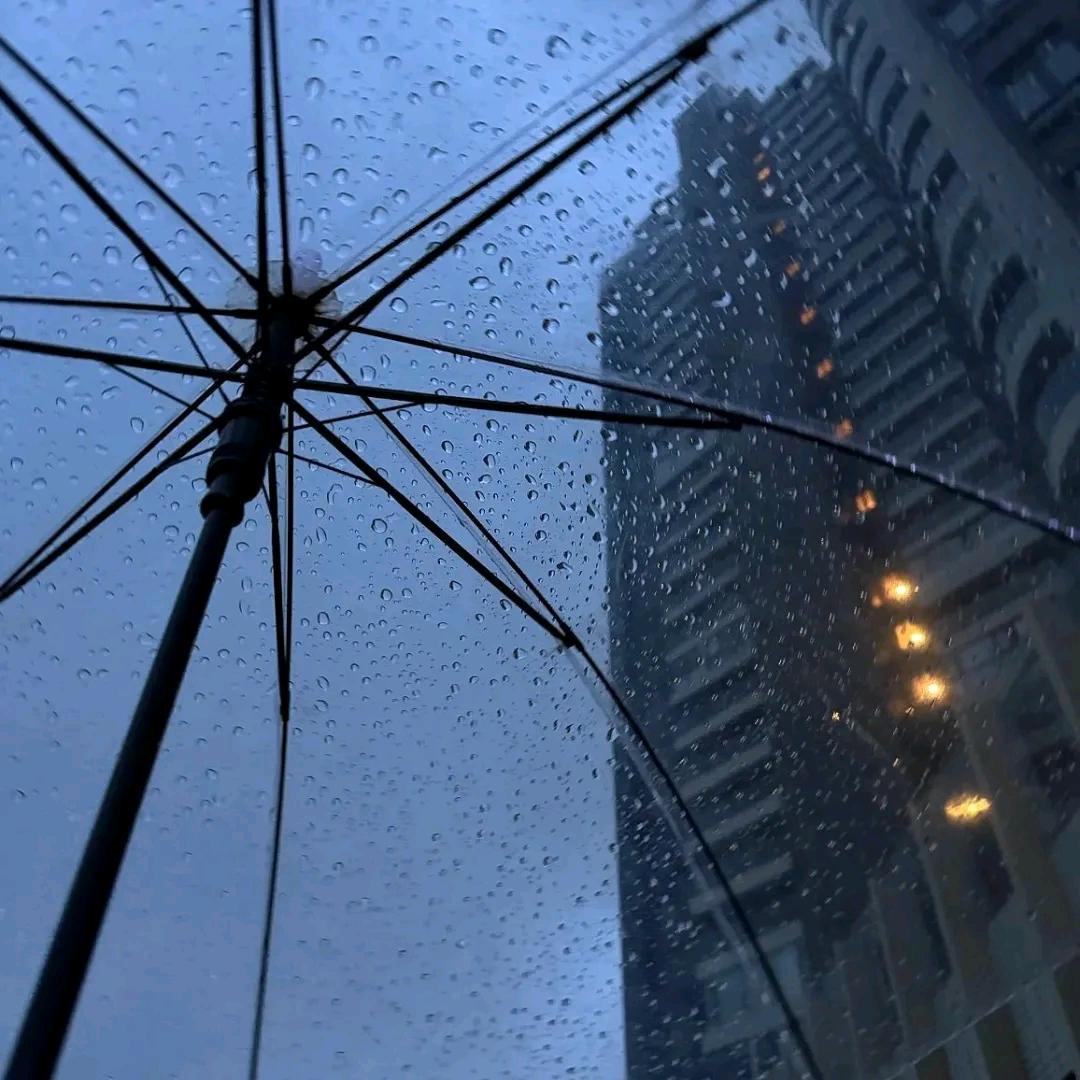 南墙已撞.故事已忘