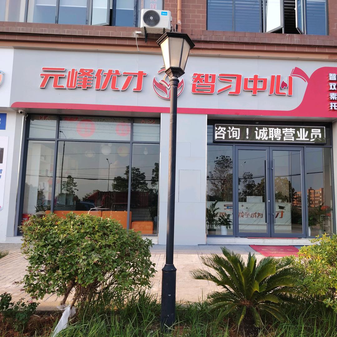 金口小 初 高 托管 陪跑元峰优才