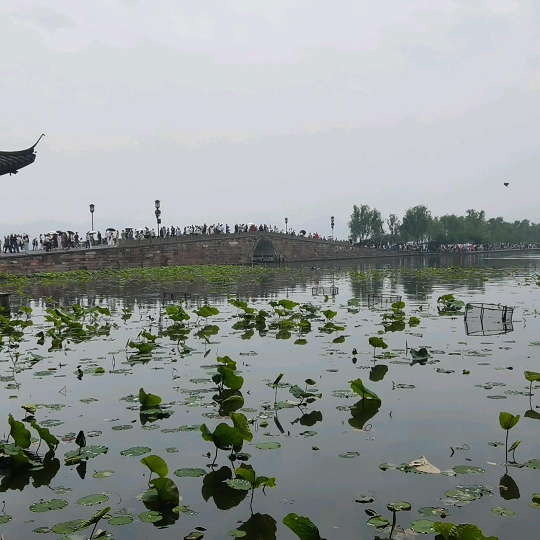 嘟嘟好物分享中心