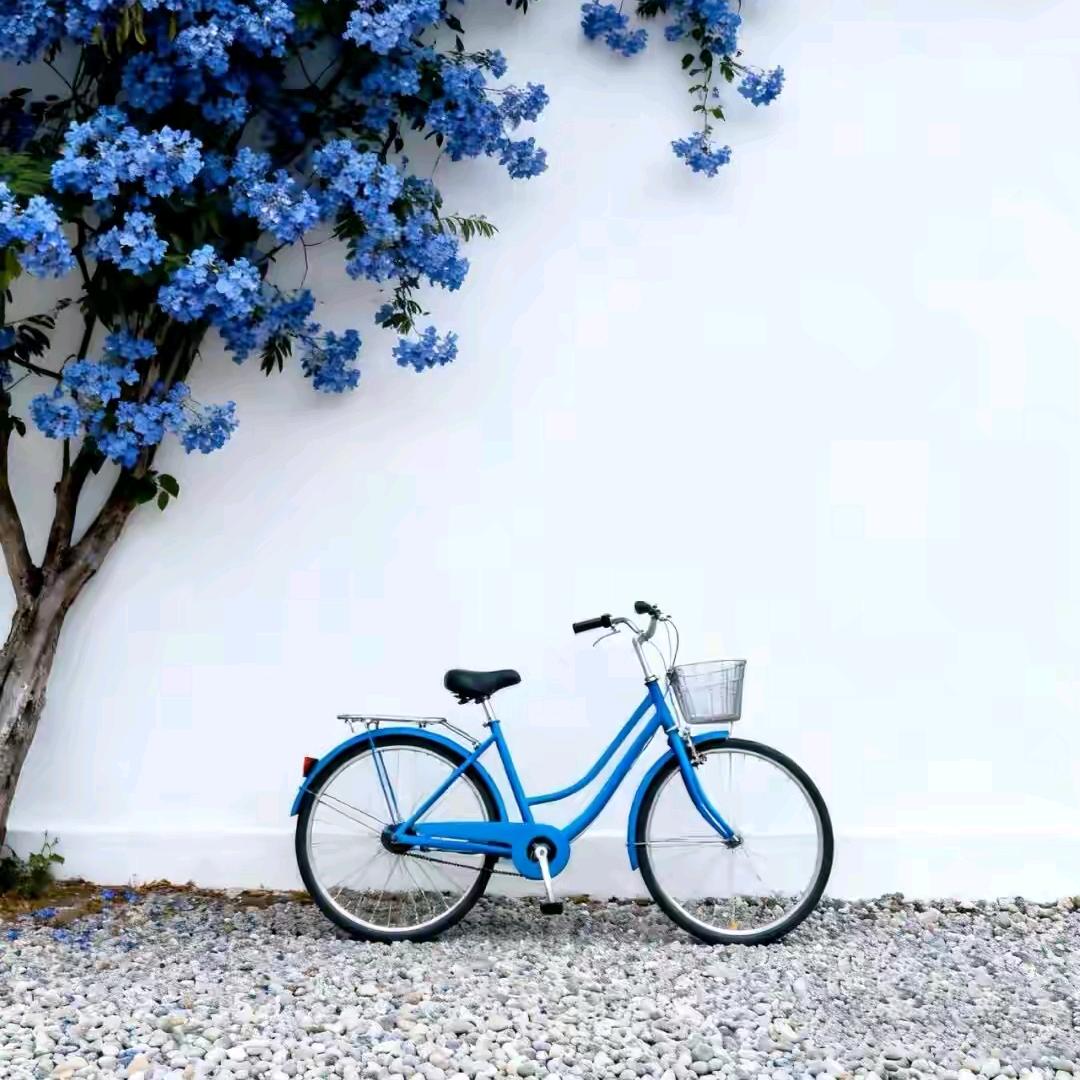 🍀 🍀沧海桑田🍀 🍀