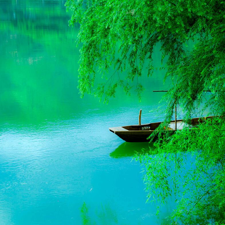 野渡无人舟自横