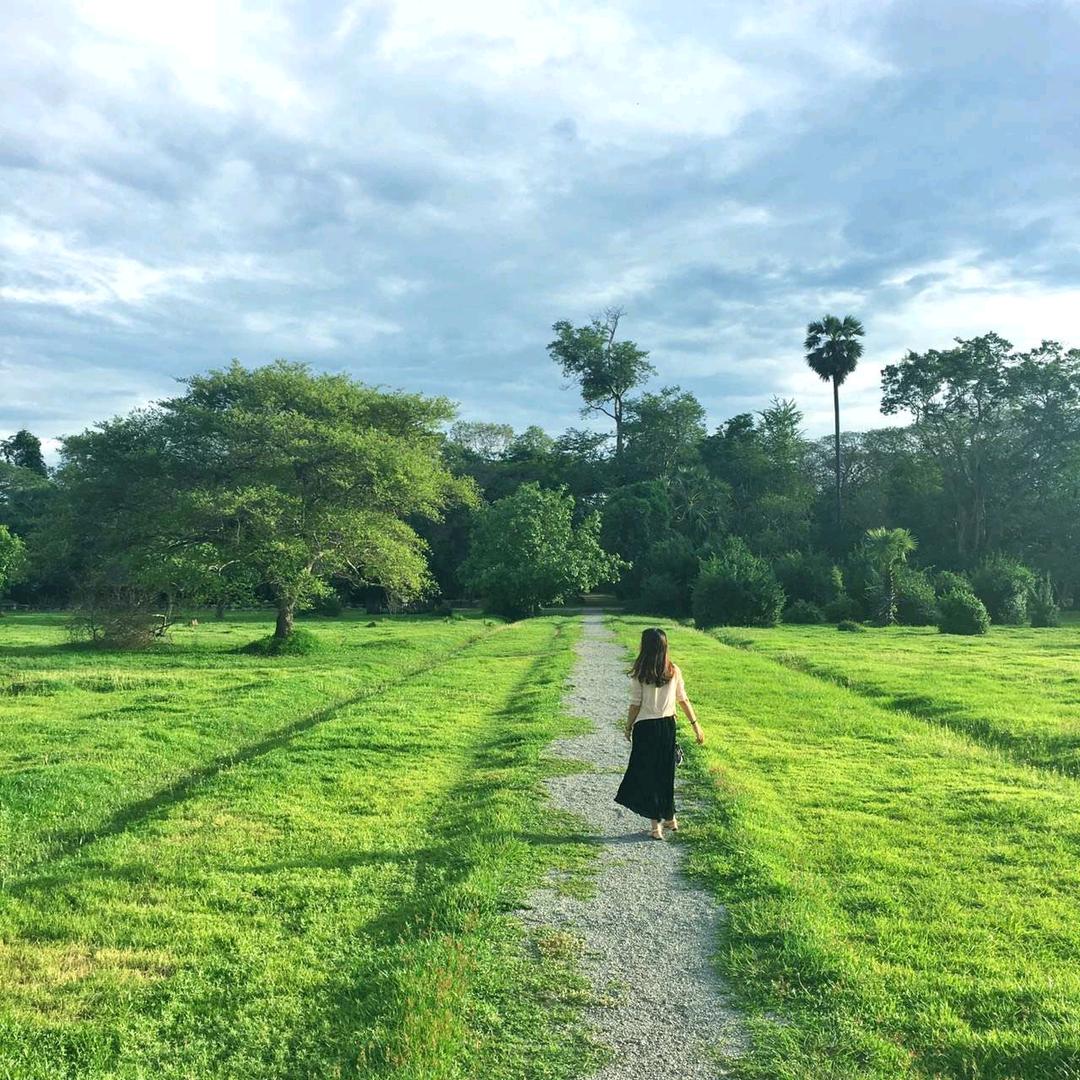 网约车规划师小严