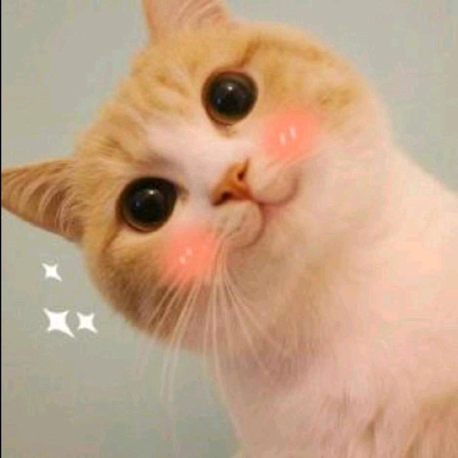 洛