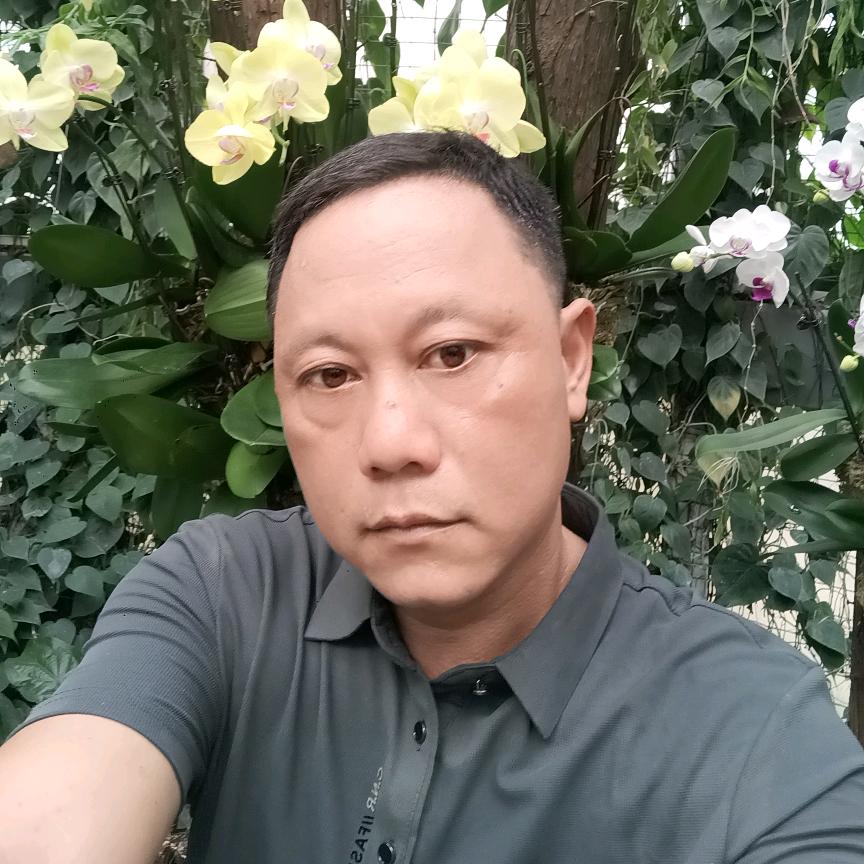 user224393300612太阳