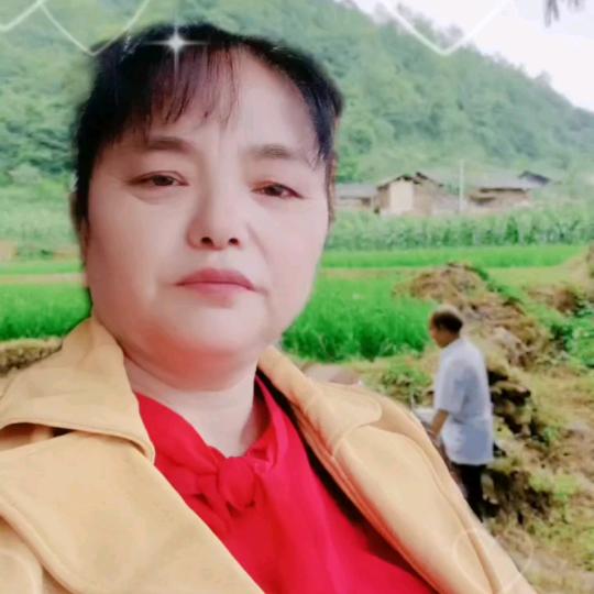 黄燕《聊直播》
