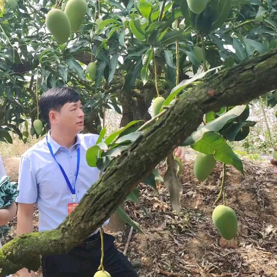 美好未来