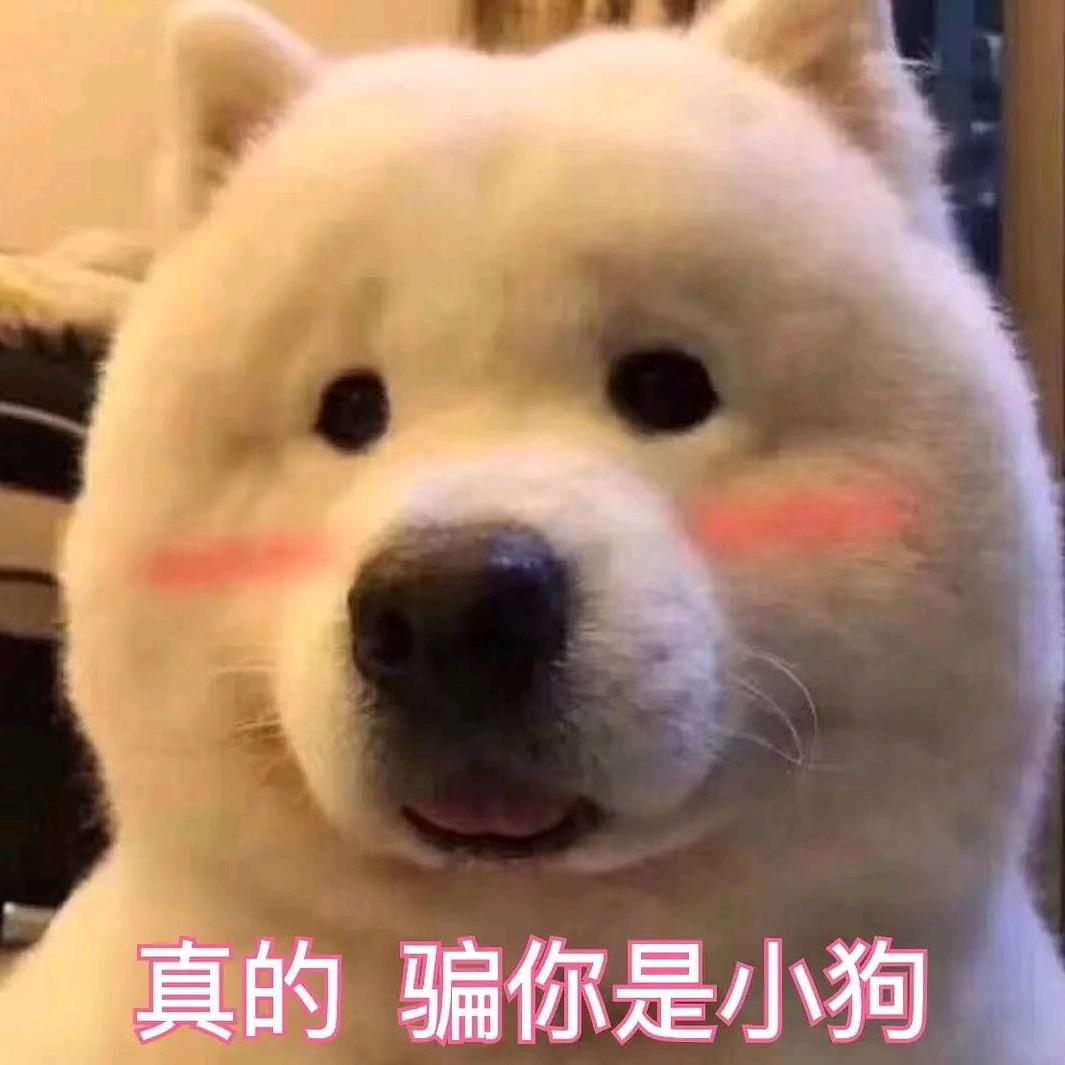 用户0204头像