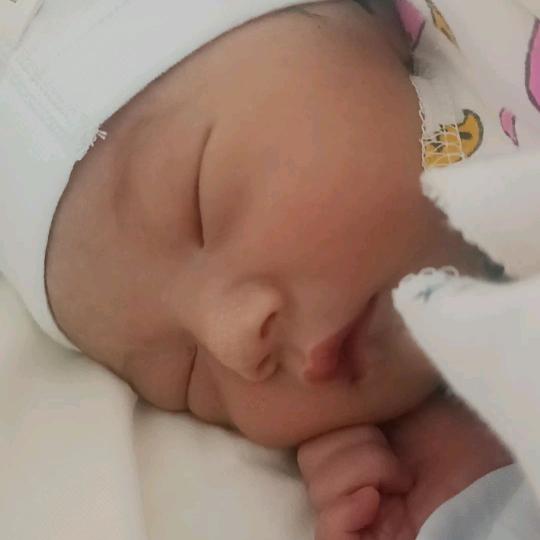 爱养鱼的小仙女🧚‍♀️