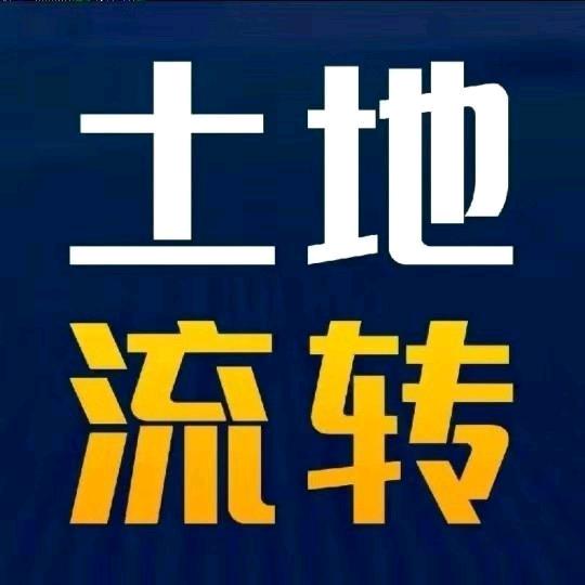 瓜哥