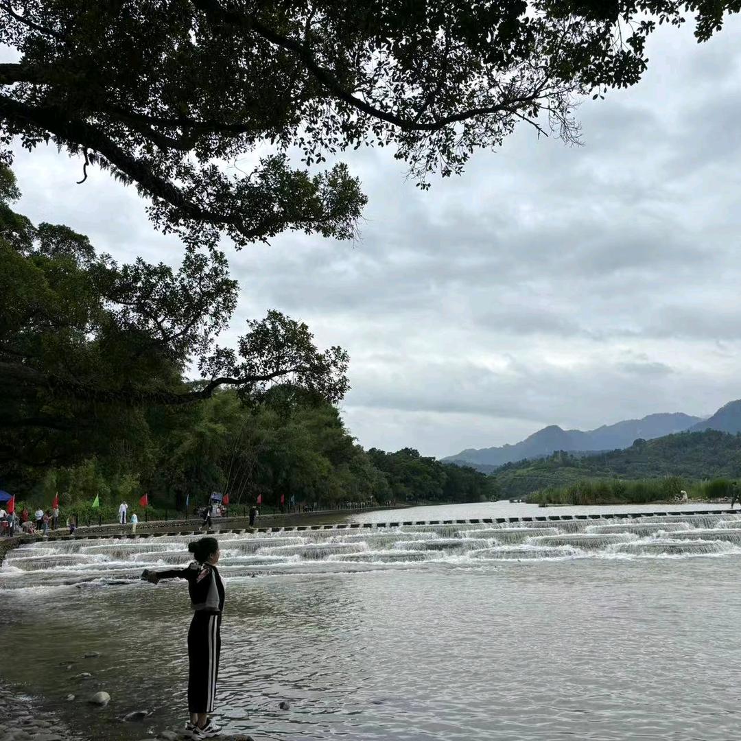 想天鹅的癞蛤蟆