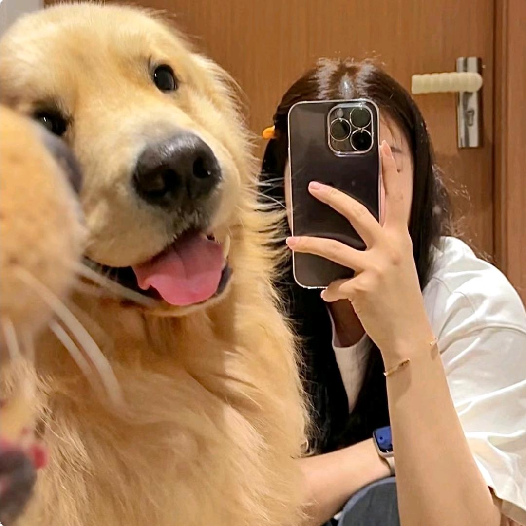 包大小姐