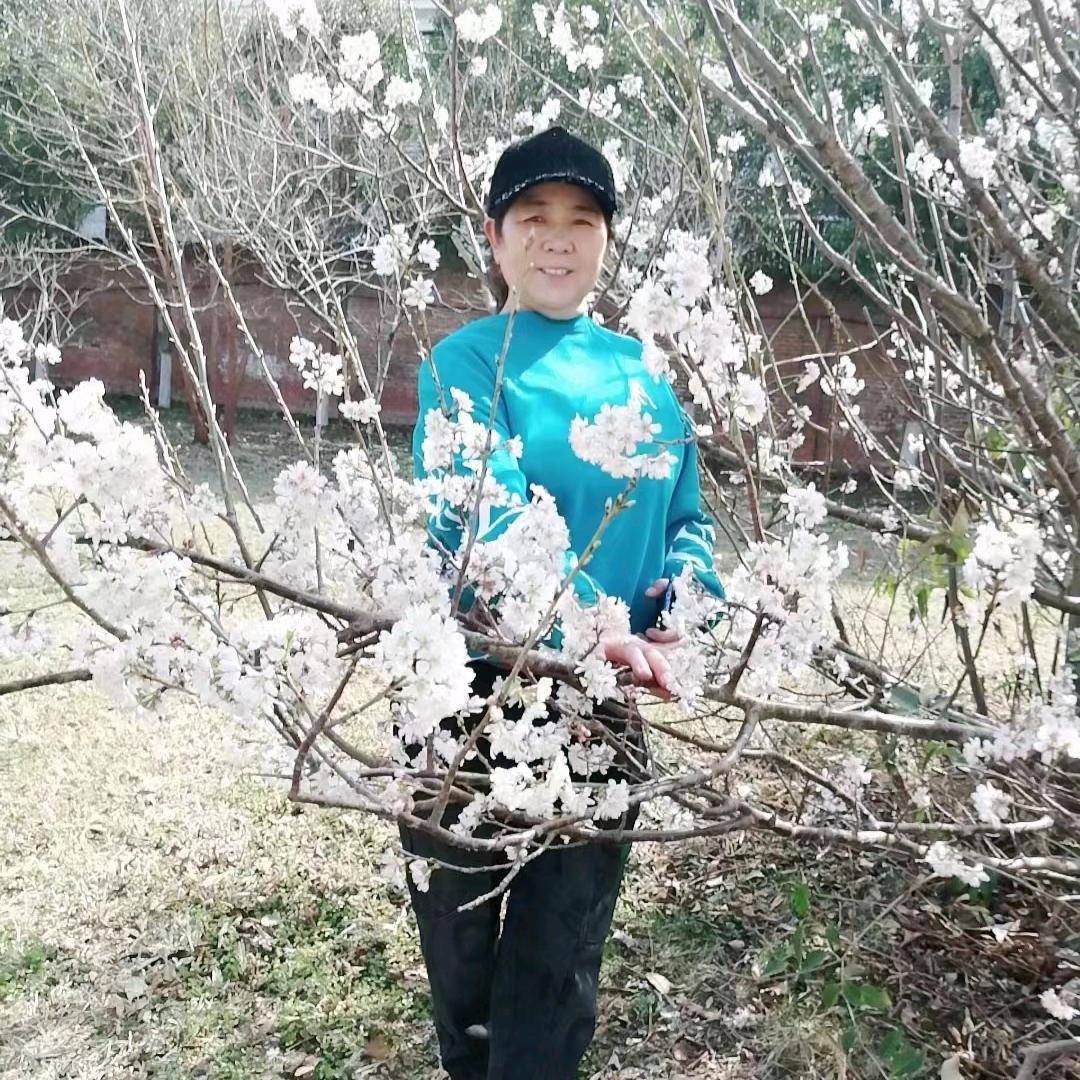 雪花飞舞