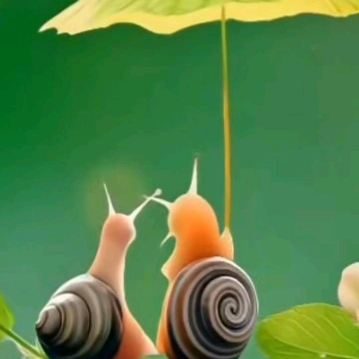 爱在心里
