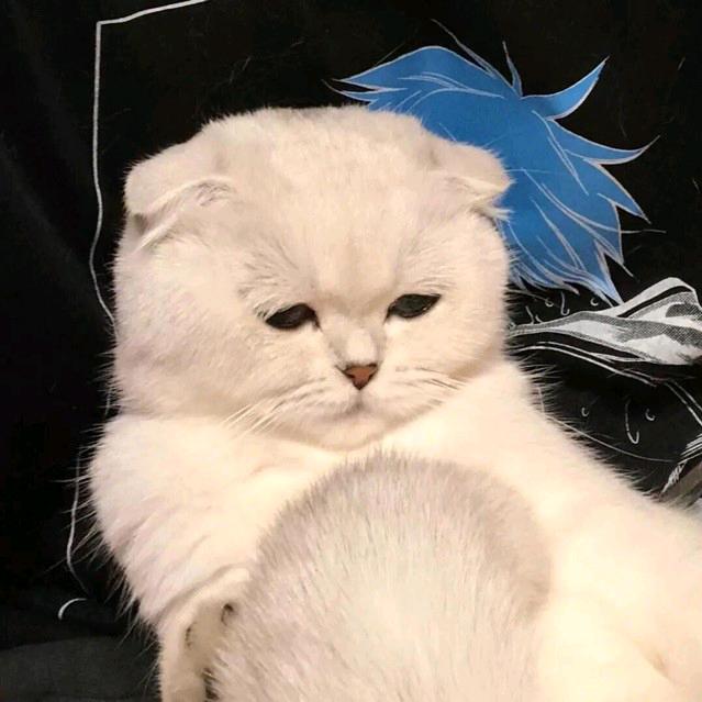 她与月色一样温柔