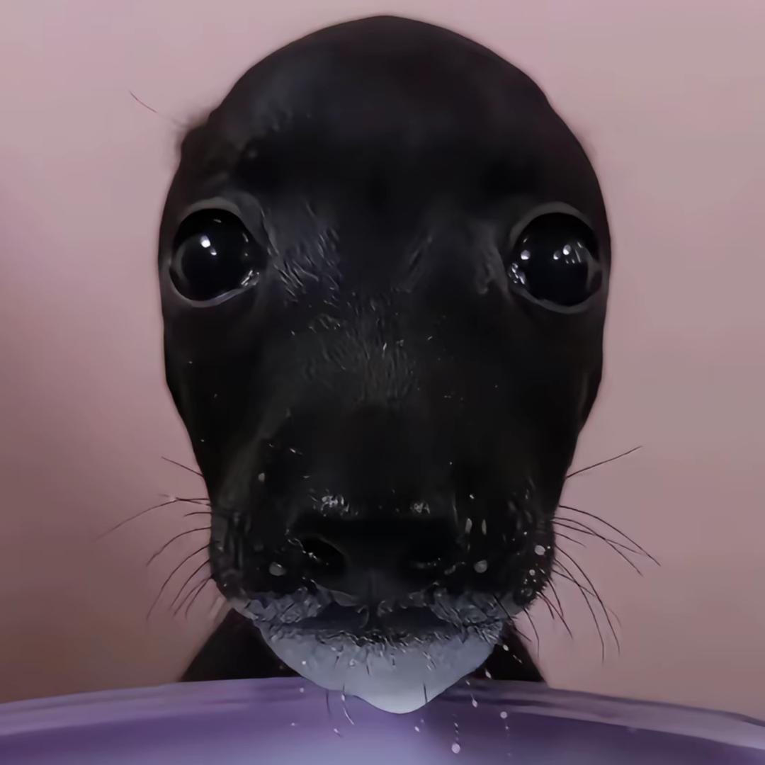 上厕所忘记带纸了