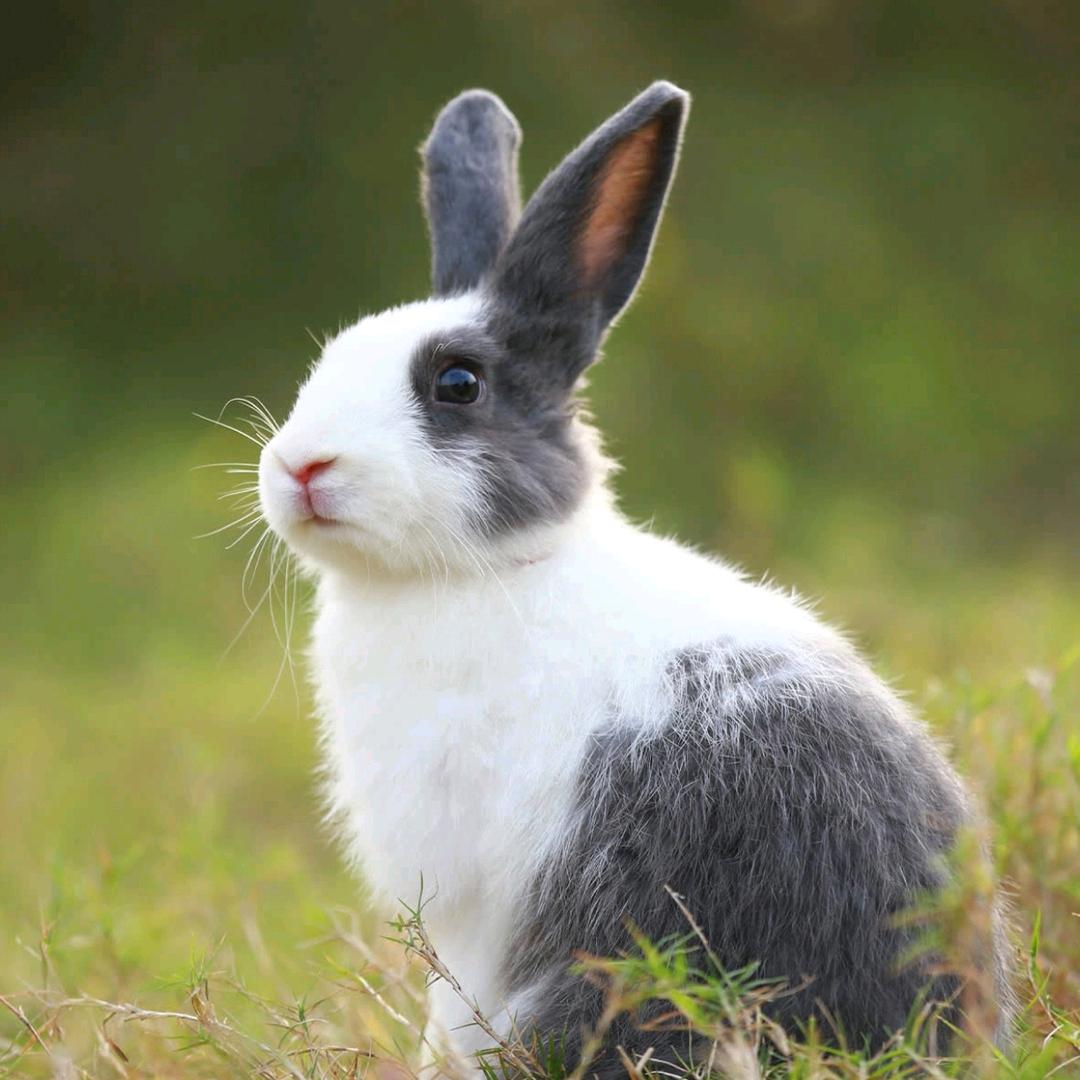 💕   晴  天   💘