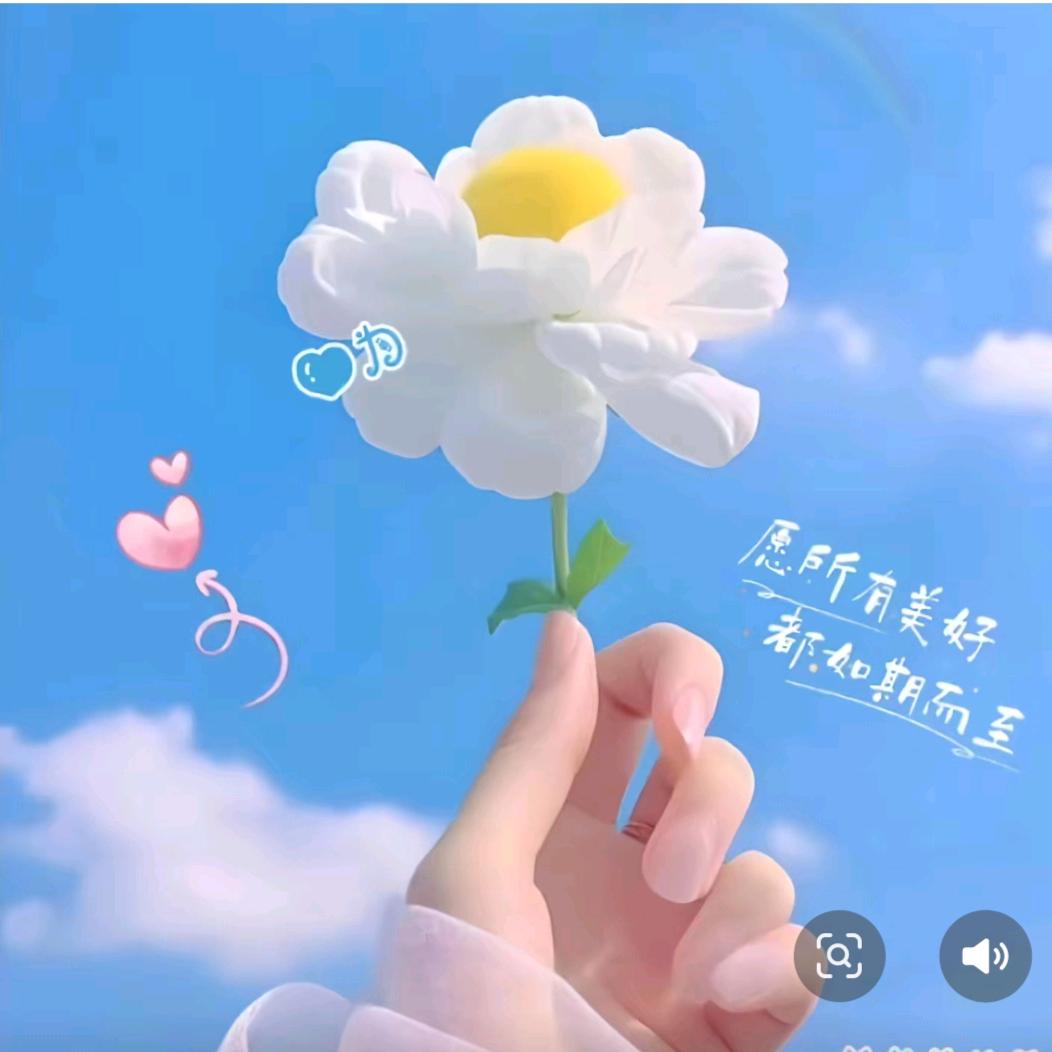 🍒糖 糖🍀《离异》