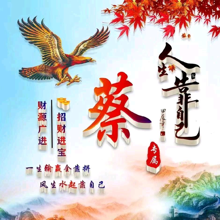 蔡浠小号二