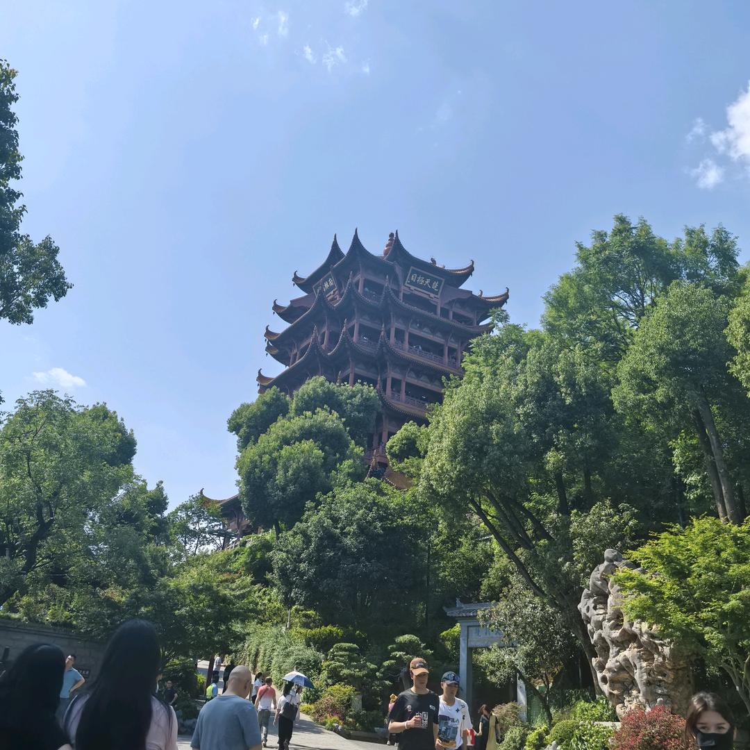 美丽。
